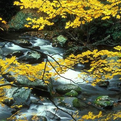 体育皇冠官网下载